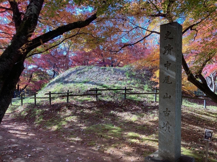 中尾山古墳[写真]